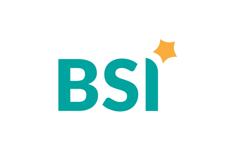 bsi-optimized